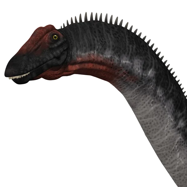 Голова апатозавр — стокове фото