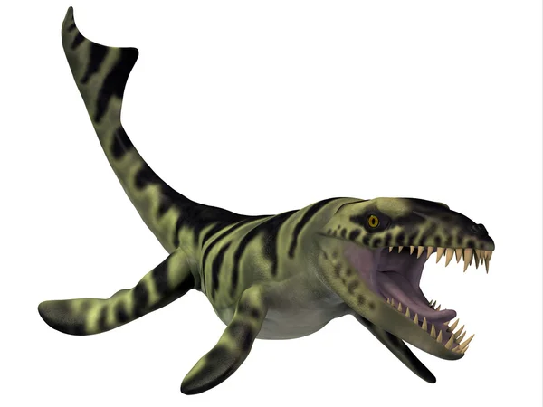 Dakosaurus Dinosaur — Stock Photo, Image