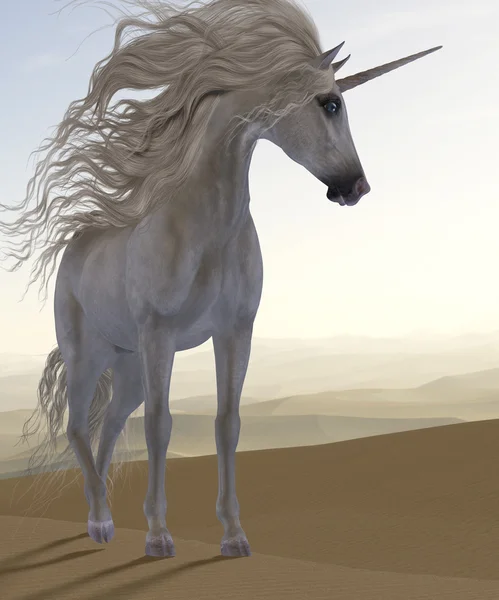 Desert Dune Unicorn — Stock Photo, Image