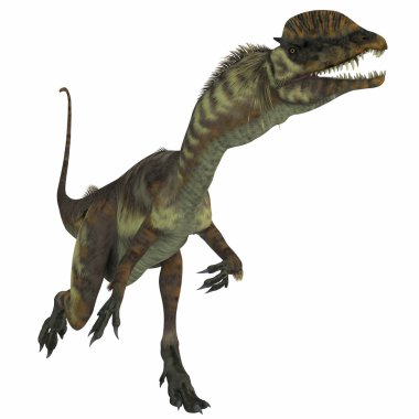 Dilophosaurus dinozor beyaz üzerinde