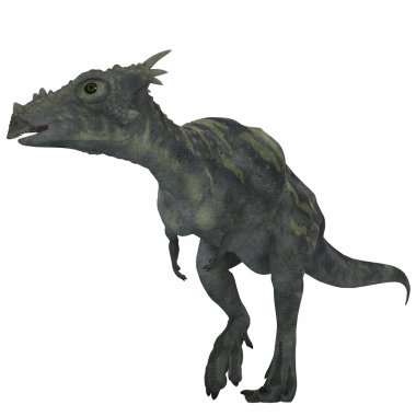Dracorex dinozor beyaz üzerinde