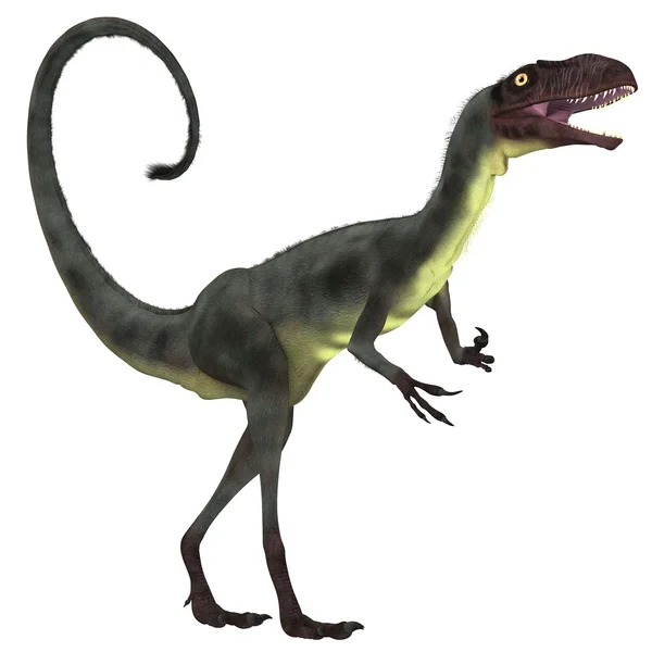 Дилонг Динозавр над белым — стоковое фото