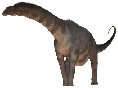 Argentinosaurus üzerinde beyaz
