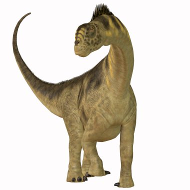 Camarasaurus beyaz