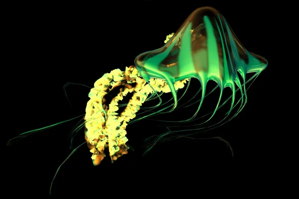 Żółty zielony Jellyfish — Zdjęcie stockowe