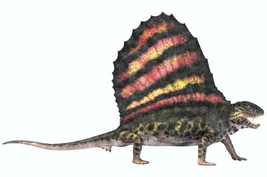 Dimetrodon Permiyen sürüngen
