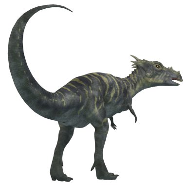 Dracorex dinozor beyaz