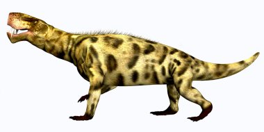 Inostrancevia Permiyen sürüngen