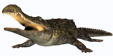 Sarcosuchus sürüngen