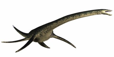 Styxosaurus on White clipart