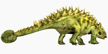 Talarurus kemikli kuyruk