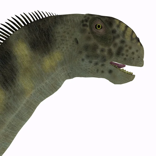 Cabeza de Camarasaurus — Foto de Stock