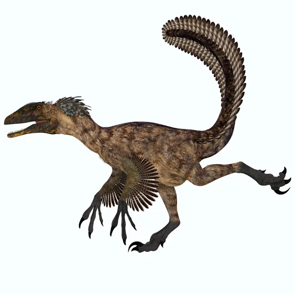 Deinonychus над білий — стокове фото