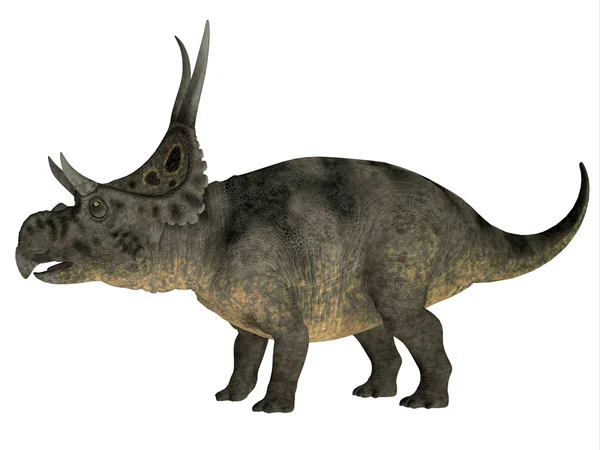 흰색 위에 Diabloceratops — 스톡 사진