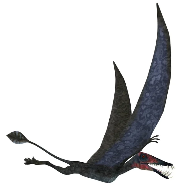 Pterosauro di Dorygnathus su Bianco — Foto Stock