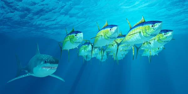 Yellowfin Tuna School — Stock Photo, Image