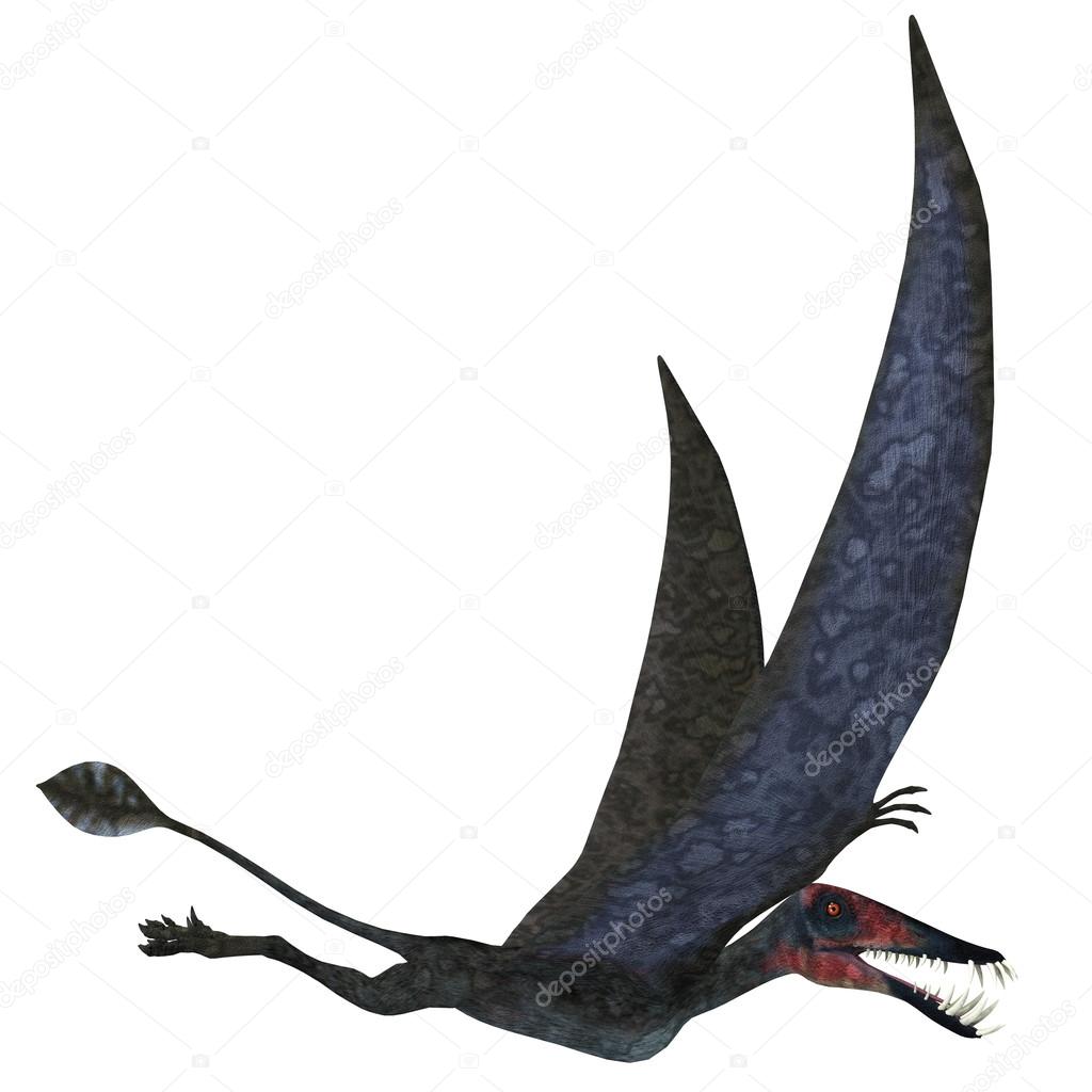 Dorygnathus Pterosaur over White