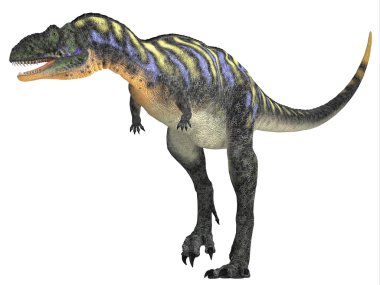Aucasaurus etçil bir dinozordu