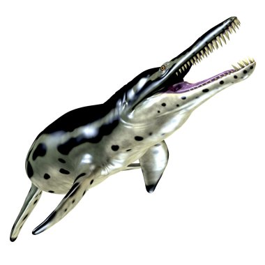 Deniz Kronosaurus pliosaur