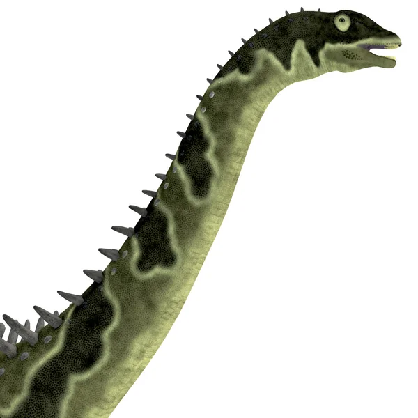 Agustinia 공룡 머리 — 스톡 사진