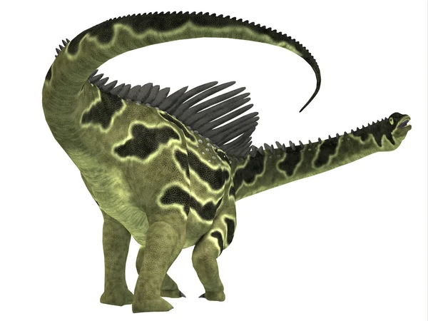 Agustinia war ein pflanzenfressender Titanosaurier-Dinosaurier — Stockfoto