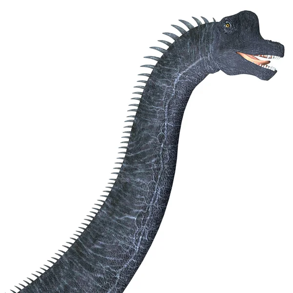 Голова динозавра брахиозавра — стоковое фото