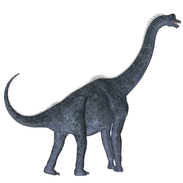 Brachiosaurus era un dinosaurio saurópodo herbívoro —  Fotos de Stock