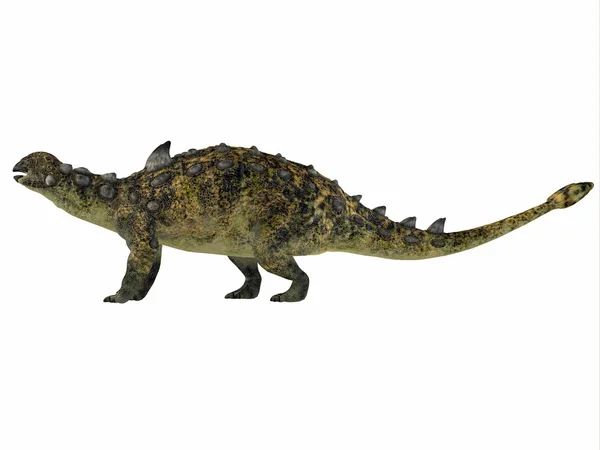 Euoplocephalus lived in the Cretaceous Period — Stock Photo, Image