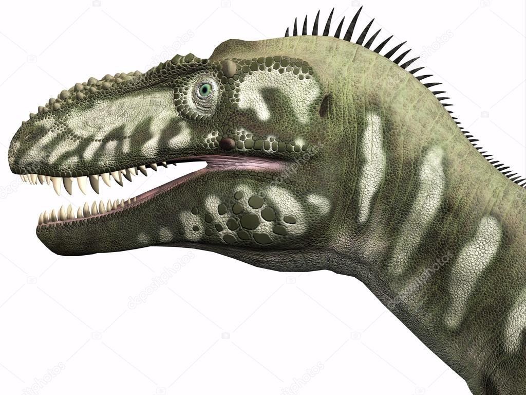 Bistahieversor Dinosaur Head