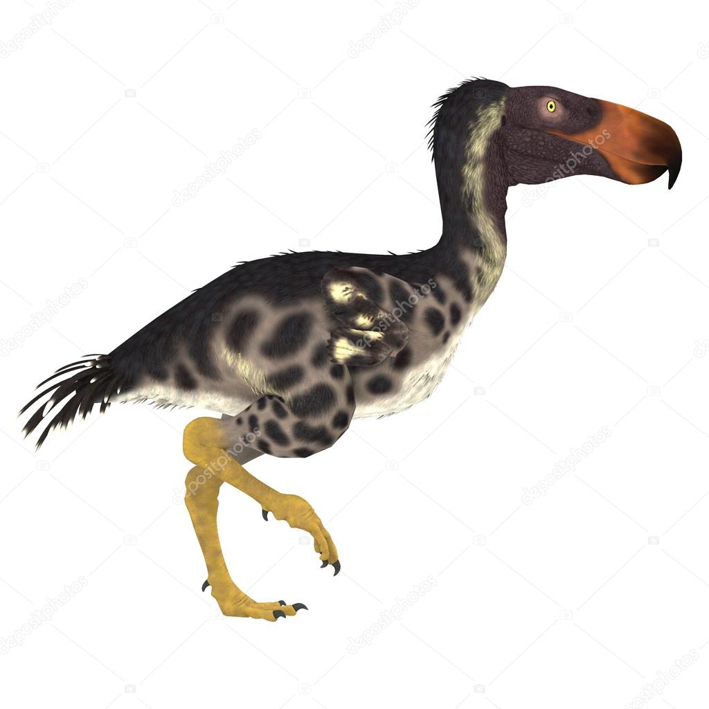 Kelenken 鸟或恐鸟 — 图库照片