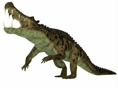 Kaprosuchus deniz bir sürüngen olduğunu