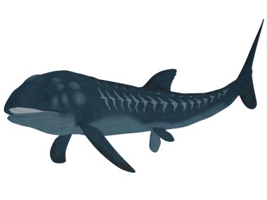 Leedsichthys etçil bir balıktı