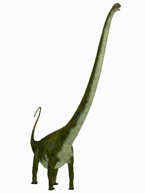 Mamenchisaurus hochuanensis Dinozor