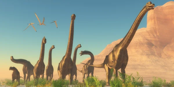 Herd of Brachiosaurus dinosaurs — Stock Photo, Image