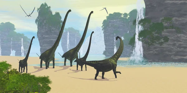 Una manada de dinosaurios Mamenchisaurus — Foto de Stock