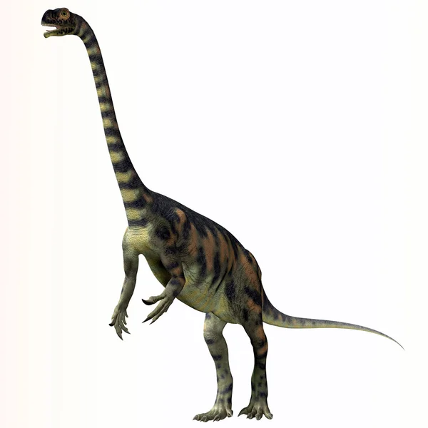 Massospondylus býložravých prosauropodních dinosaurů — Stock fotografie
