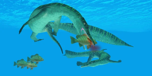Mesosaurus 해양 파충류 — 스톡 사진