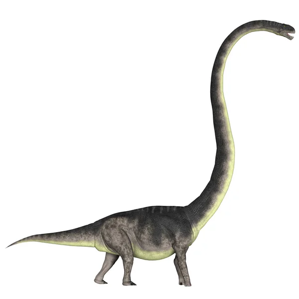 Omeissauro era um dinossauro herbívoro — Fotografia de Stock