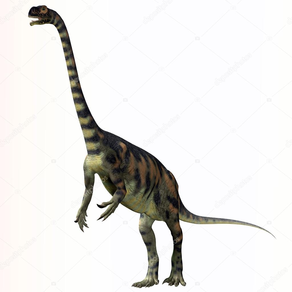 Massospondylus herbivorous prosauropod dinosaur