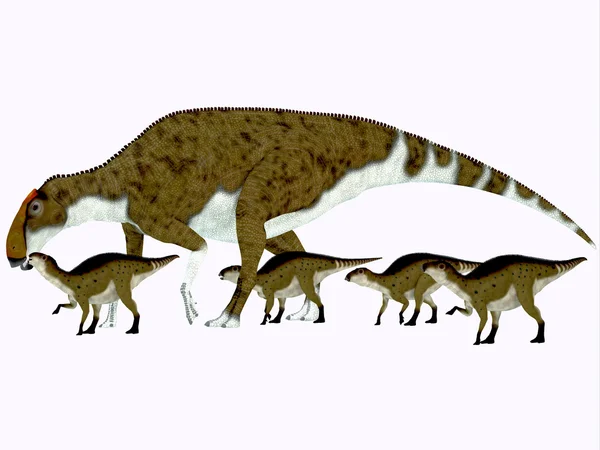 Brachylophosaurus Perfil lateral — Foto de Stock