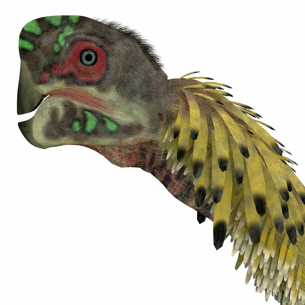 Citipati Dinosaur Head — Zdjęcie stockowe