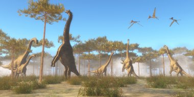 Brachiosaurus Browsing clipart