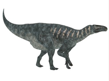 Iguanodon Side Profile