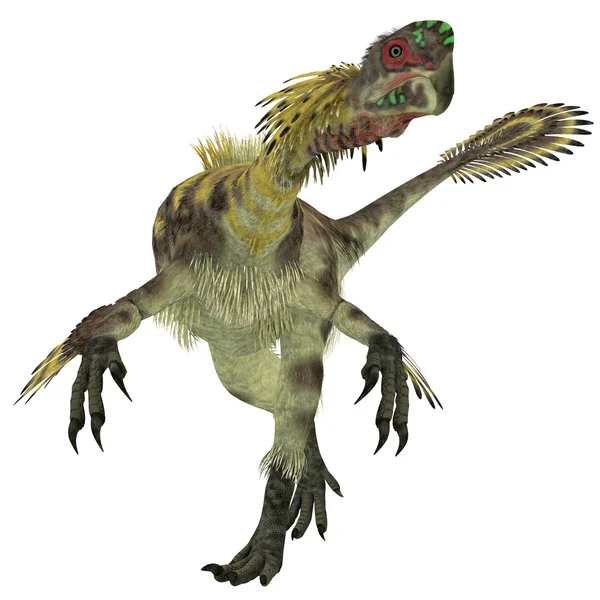 Citipati Male Dinosaur — Zdjęcie stockowe