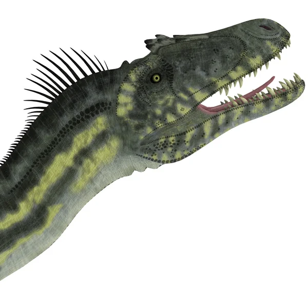 Deltadromeus Dinosaur Head — Zdjęcie stockowe