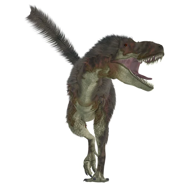 Predador daspletosaurus — Fotografia de Stock