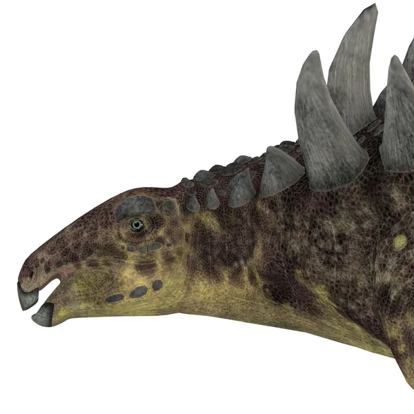Głowa dinozaurów hungarozaura — Zdjęcie stockowe