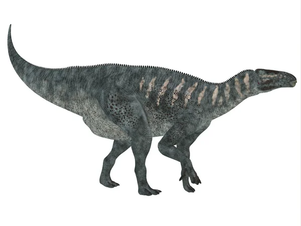 Perfil lateral do iguanodon — Fotografia de Stock