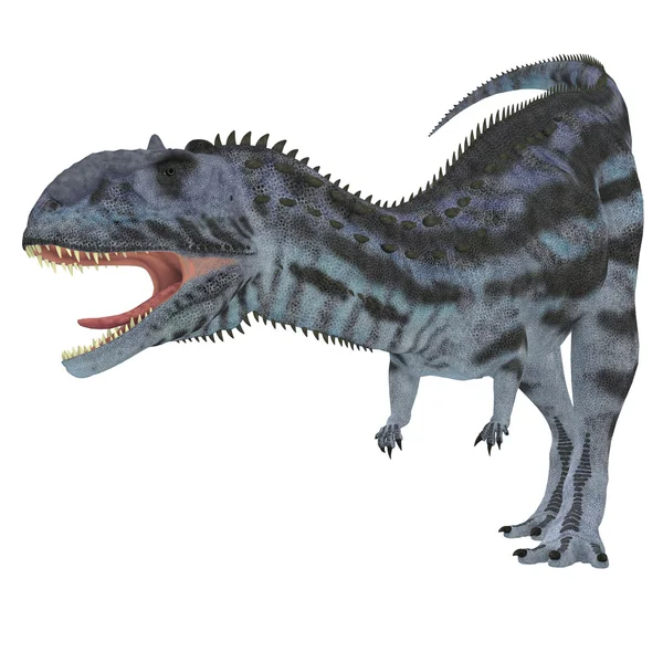 Majungasaurus Predator — Φωτογραφία Αρχείου