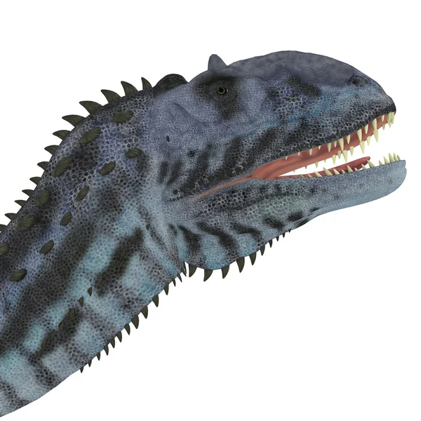 Majungasaurus Dinosaur Head — Stock Photo, Image